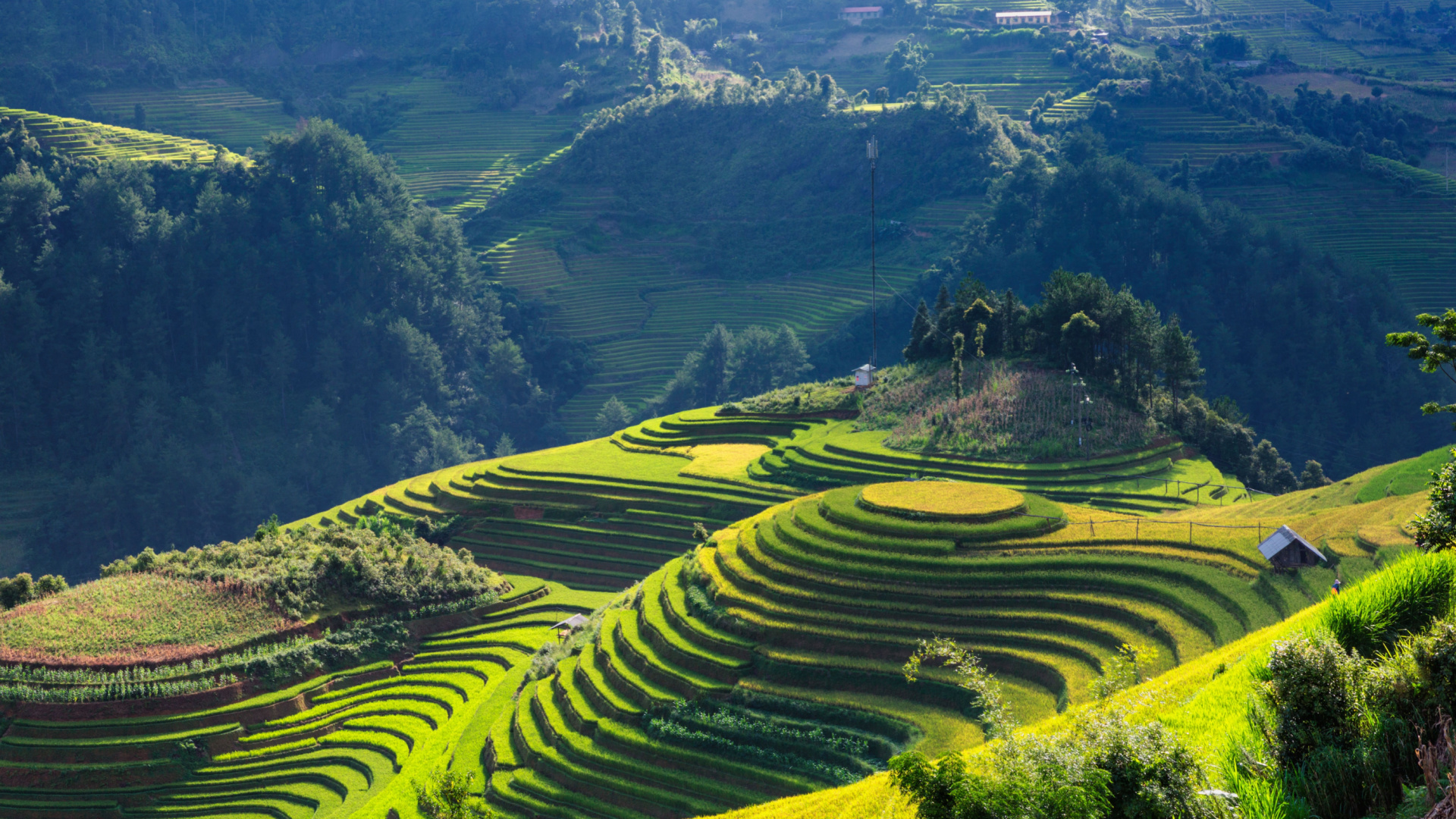 vietnam
