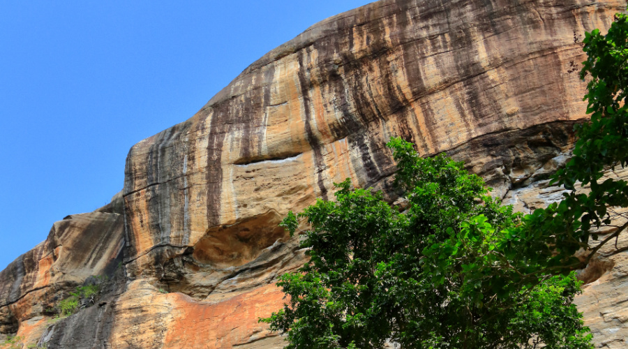 sri lanka reizen maakt gelukkig